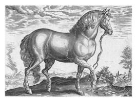 cavalo a partir de Calábria, vintage ilustração. foto