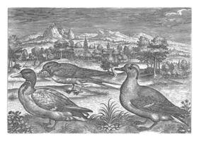 alguns pássaros dentro uma paisagem, Adriano colaert, 1598 - 1618 foto