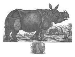 a rinoceronte clara, 1741, h. ostra, depois de anton agosto beck, depois de johann Friedrich Schmidt, 1747 foto