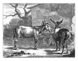 dois burros às uma manjedoura, jan de vischer, depois de Nicolaes pietersz. berchem, 1650 - 1701 foto