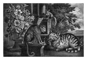 macaco, gato, esquilo e pega, jan grifo eu, depois de francis barlow, 1667 - 1717 foto