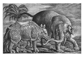 elefante e rinoceronte, jan grifo eu, depois de francis barlow, 1667 - 1717 foto