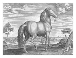 cavalo a partir de Sardenha, h. colaert atribuído para, depois de jan furgão der rua, c. 1578 - c. 1582 foto