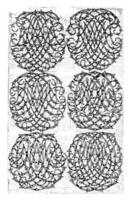 seis ampla monogramas ahikl-anopq, Daniel de lafeuille, c. 1690 - c. 1691 foto