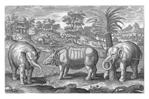 elefantes e rinoceronte, Adriano colaert, 1595 - 1599 foto
