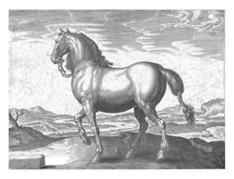 cavalo a partir de Flandres, hendrick Goltzius possivelmente, depois de jan furgão der rua, c. 1578 - c. 1582 foto