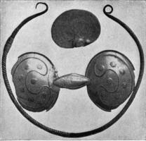 bronze colar, fíbula em forma óculos e fragmento do a objeto do Está tipo com raccomod Localizações, vintage gravação. foto