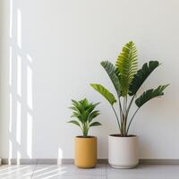 ai gerado plantas contra uma branco parede dentro lindo panelas dentro uma minimalista interior foto