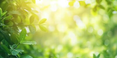 ai gerado lindo natureza Visão do verde folha em borrado vegetação fundo dentro jardim e luz solar com cópia de espaço foto