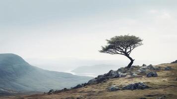 ai gerado minimalista tiro do uma solitário árvore em uma montanha cume foto