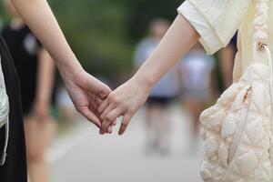 lgbtq casais abertamente andar mão dentro mão baixa rua para mostrar lgbtq direitos e liberdades do amor para cada outro. lgbtq casais andar mão dentro mão baixa rua mostrar seus amor e amizade para cada de outros foto