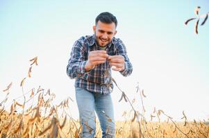 uma agricultor inspeciona uma soja campo. a conceito do a colheita foto