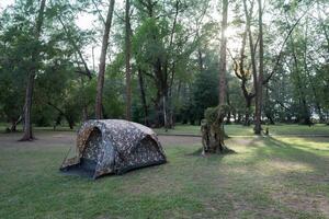 acampamento barraca debaixo Claro céu foto