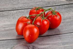 cru vermelho flamenco tomate ramo foto