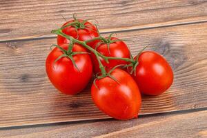 cru vermelho flamenco tomate ramo foto