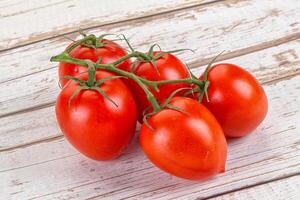 cru vermelho flamenco tomate ramo foto