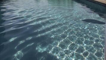 ai gerado piscina fundo, azul piscina água, ensolarado dia, azul água fundo, azul água superfície foto