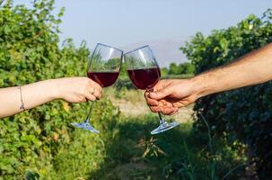 mãos segurando uma vinho óculos dentro a Vinhedo foto