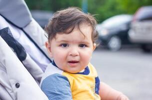 bebê Garoto dentro carrinho de criança dentro a jardim foto