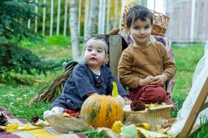 a pequeno crianças estão jogando dentro a parque com frutas, pequeno menina e Garoto dentro a outono parque foto