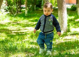 criança jogando dentro a jardim, criança jogando em a Parque infantil foto