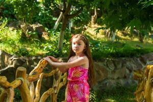 bonita pequeno menina dentro a natureza, menina dentro verão foto