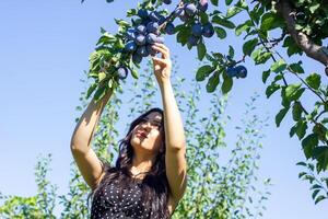 bonita jovem mulher dentro a natureza, verão cenário foto