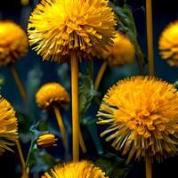 ai gerado brilhante amarelo dente de leão flores em Sombrio natural fundo. foto