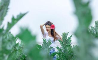 bonita jovem menina dentro a natureza, menina dentro a parque foto