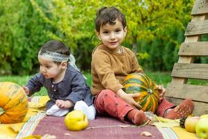 a pequeno crianças estão jogando dentro a parque com frutas, pequeno menina e Garoto dentro a outono parque foto