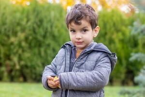 a pequeno criança jogando dentro a parque com frutas, pequeno menina dentro a outono parque foto