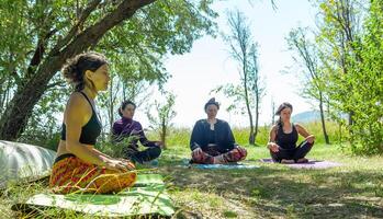 grupo do pessoas fazendo ioga exercício dentro a parque, mulher relaxante dentro a parque foto