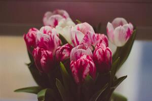 ramalhete do Rosa e branco tulipas em a peitoril da janela foto