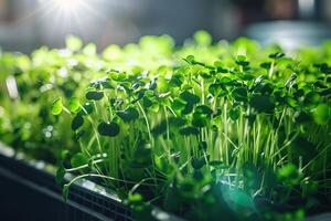 ai gerado interior microgreen jardim com eficiente iluminação com ai gerado. foto