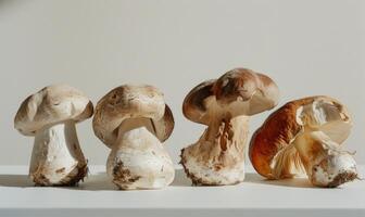 ai gerado cogumelos em uma branco fundo, champignons, boletos foto