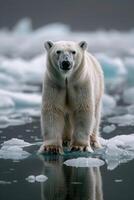 ai gerado polar Urso em pé em gelo foto