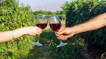 mãos segurando uma vinho óculos dentro a Vinhedo foto