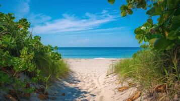 ai gerado uma arenoso caminho conduzindo para a praia, com exuberante vegetação em qualquer lado e uma Claro azul céu foto