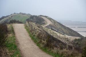 Largo caminho Alto acima a dunas em a norte mar zeeland Países Baixos foto