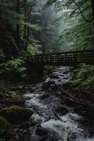 ai gerado sereno floresta corrente com de madeira ponte e enevoado atmosfera foto