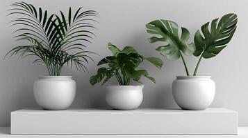 ai gerado três branco vasos com plantas dentro eles foto
