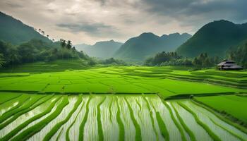ai gerado uma lindo arroz campo com montanhas dentro a fundo foto