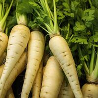 ai gerado Parsnips com fresco verde topos, fechar acima foto