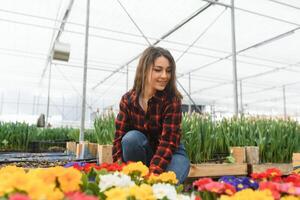 lindo jovem sorridente floristas mulher, trabalhador com flores dentro estufa. conceito trabalhos dentro a estufa, flores foto