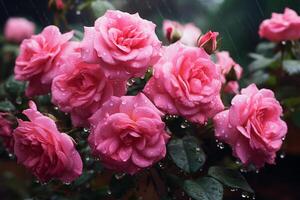 ai gerado a encantador beleza do depois de a chuva Rosa rosas foto
