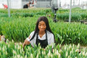 lindo jovem sorridente africano americano garota, trabalhador com flores dentro estufa. conceito trabalhos dentro a estufa, flores foto