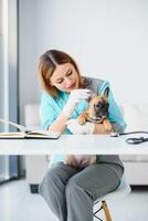 alegre jovem veterinário levando Cuidado e examinando uma lindo animal cachorro francês buldogue foto