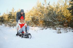 jovem feliz casal trenó dentro inverno às floresta foto