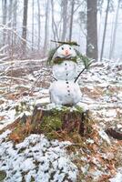 boneco de neve em uma árvore toco com cenoura, botões, galhos, pinho agulhas Como cabelo foto