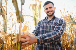 agricultor no campo de verificação de espigas de milho foto